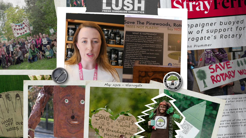 Lush Interview